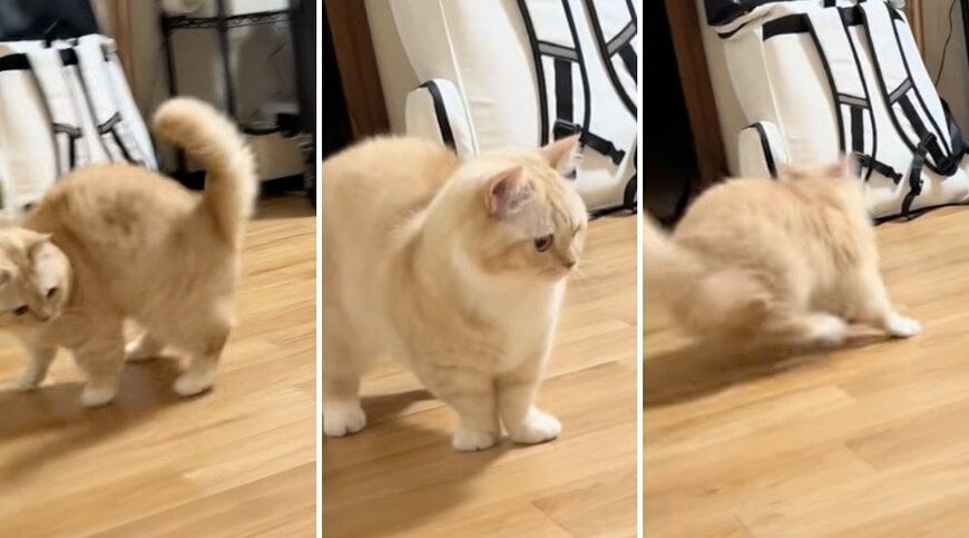 投稿の画像