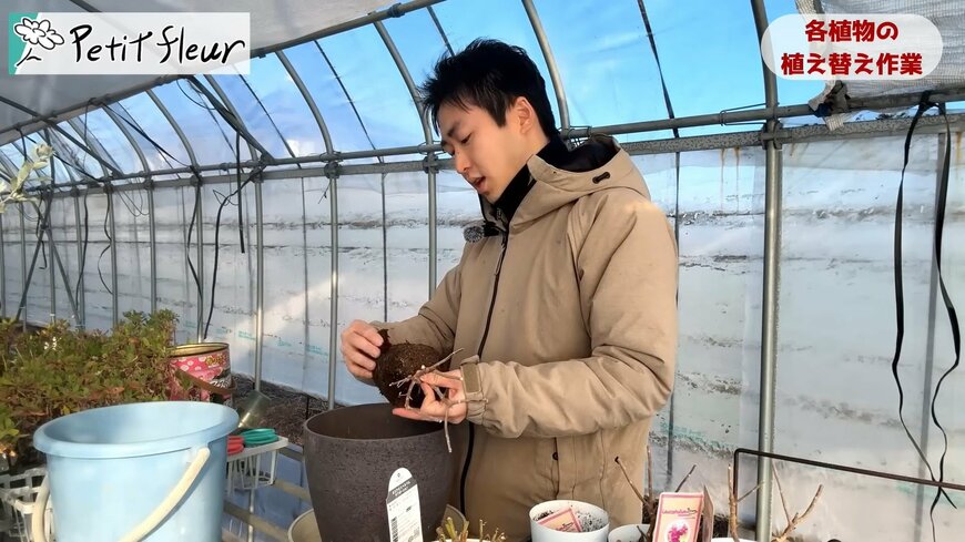 プチ・フルール（@petit_fleur）さん投稿動画のキャプチャ