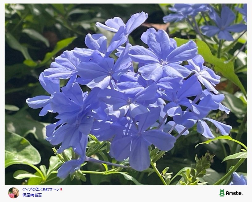 假屋崎省吾のAmebaブログ投稿