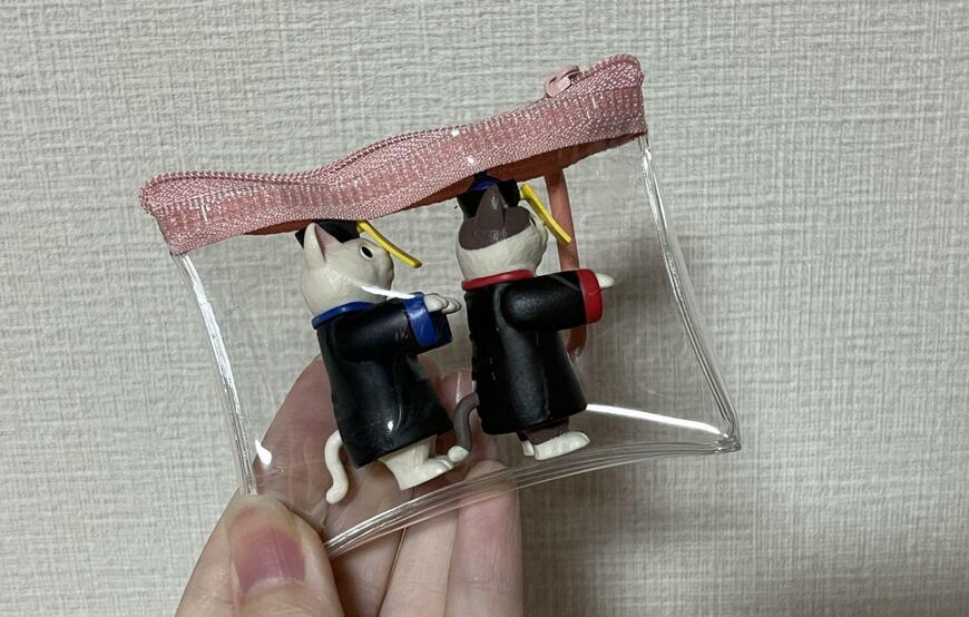 セリア、PVCケース ミニ カラビナ付商品画像