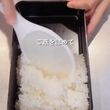 【旦那弁当】断面が美しい「大葉チーズの豚バラ巻き」入り！彩り豊かな盛り付けが食欲そそる