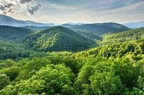 山道で発見した昆虫に目を疑う　「ひょうきんな表情」に笑ってしまう