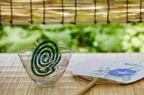 65歳以上の一人暮らしが急増中。年金生活者支援給付金「うっかり申請漏れ」を防ぐには？