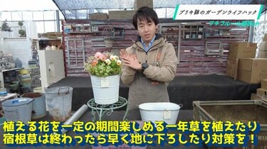 園芸のプロが解説》アンティークなガーデン雑貨「ブリキ鉢」を錆から