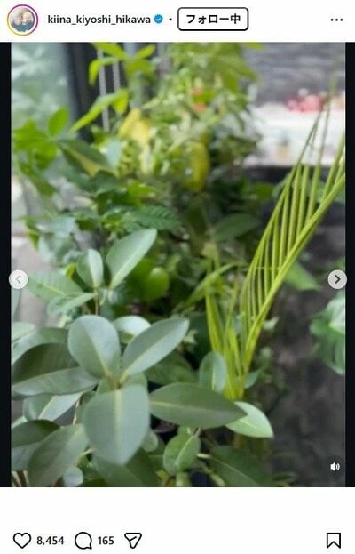 氷川きよしのInstagram投稿