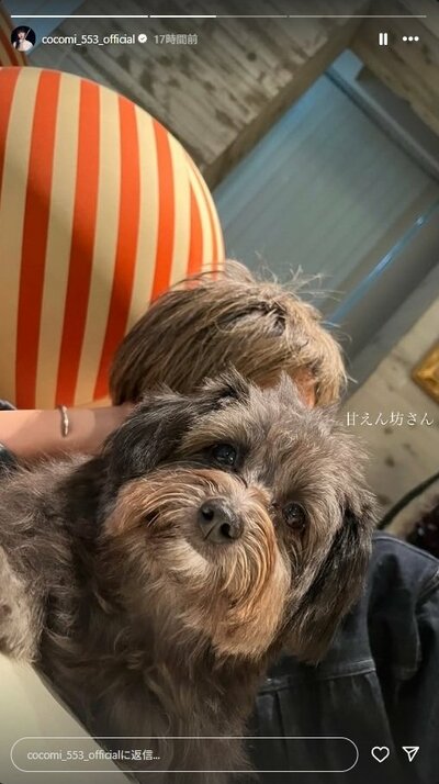 CocomiのInstagram投稿