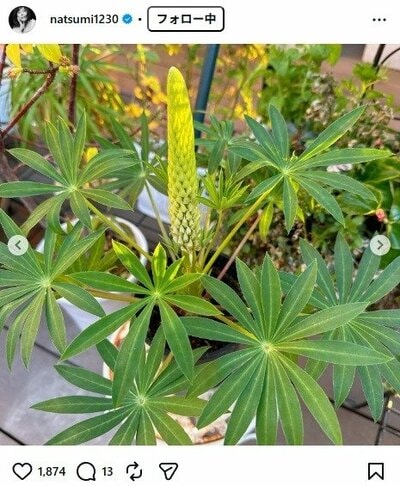 小川菜摘のInstagram投稿