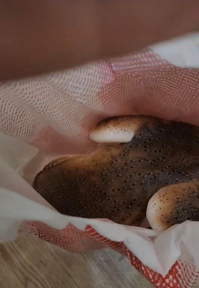 投稿動画のワンシーン