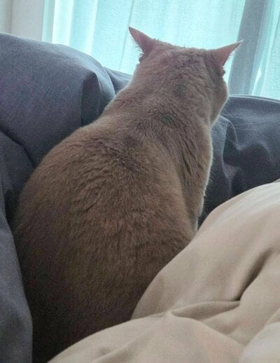 背中から哀愁が漂う？！