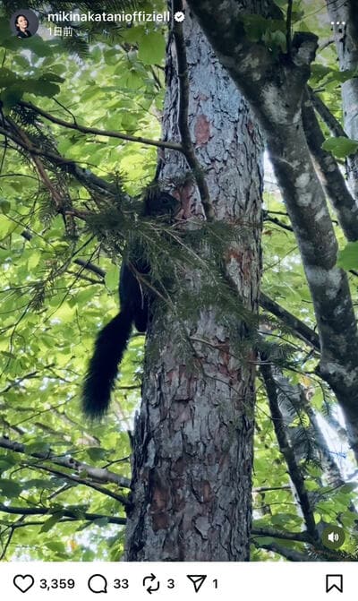 中谷美紀のInstagram投稿