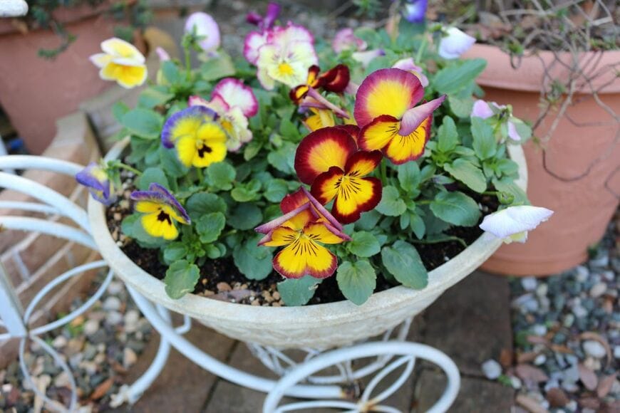 Yayuyu210615/shutterstock.com