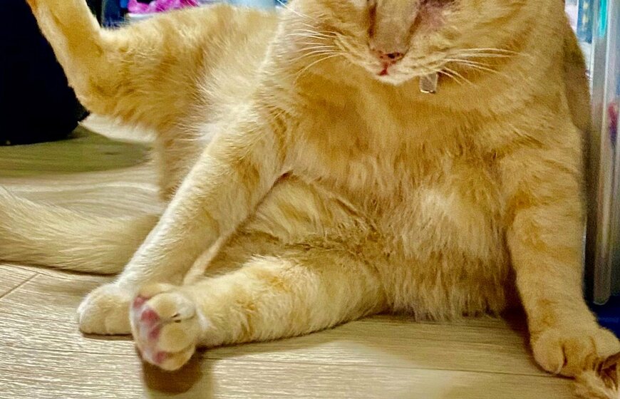 出所：@luna7taka9