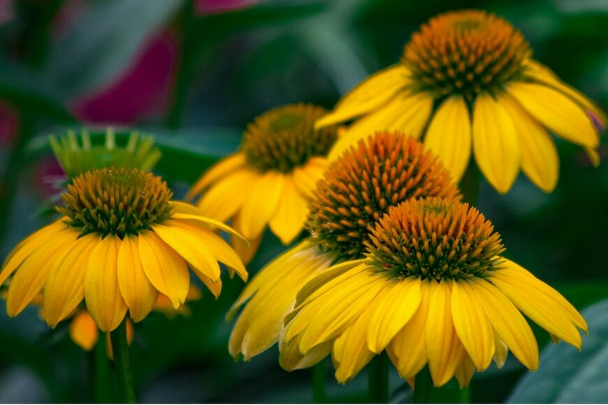 BanyanRanchStudios/istockphoto.com