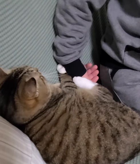 出所：@nekoko.429