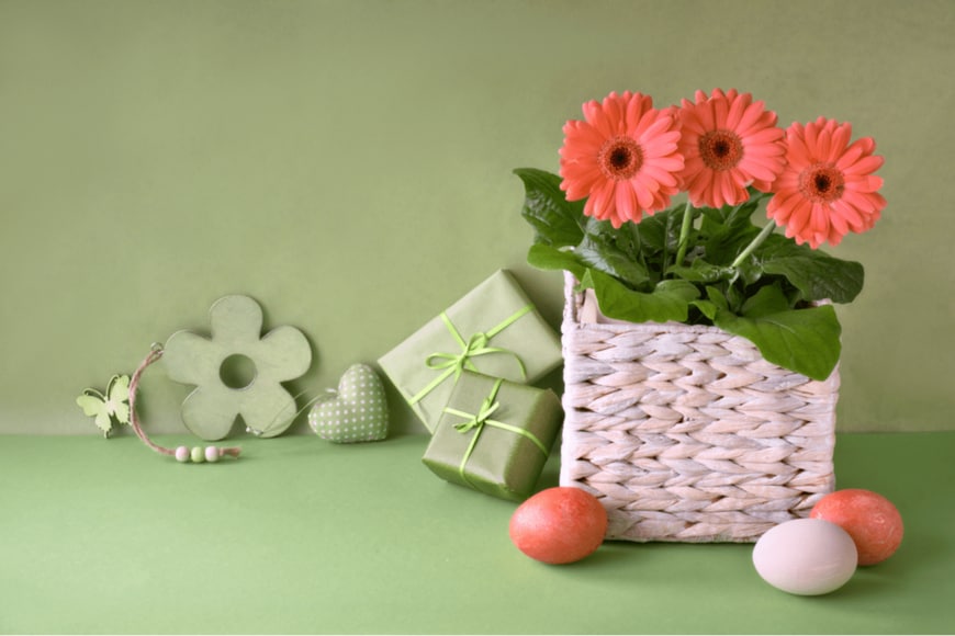 tilialucida/shuterstock.com