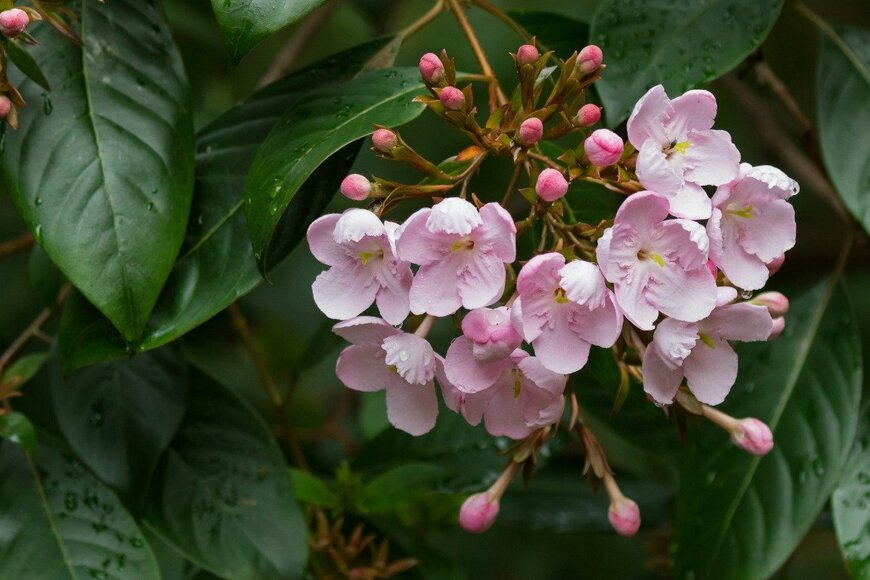 sasimoto/istockphoto.com