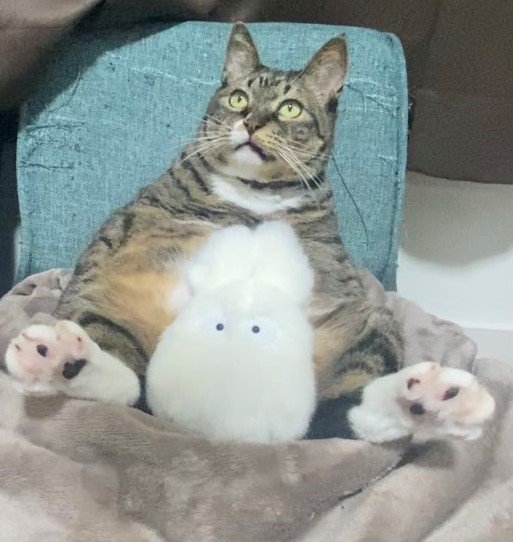 出所：@hahanekomei