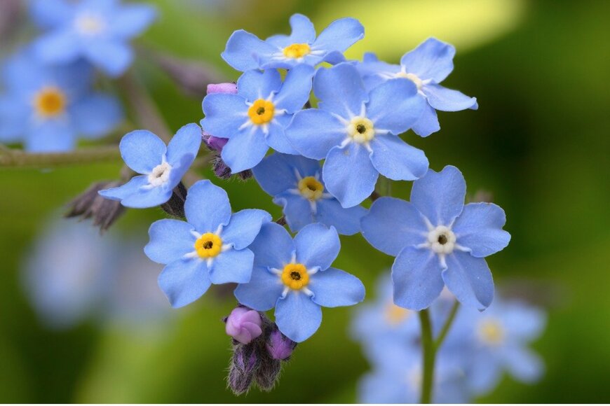 lior2/istockphoto.com