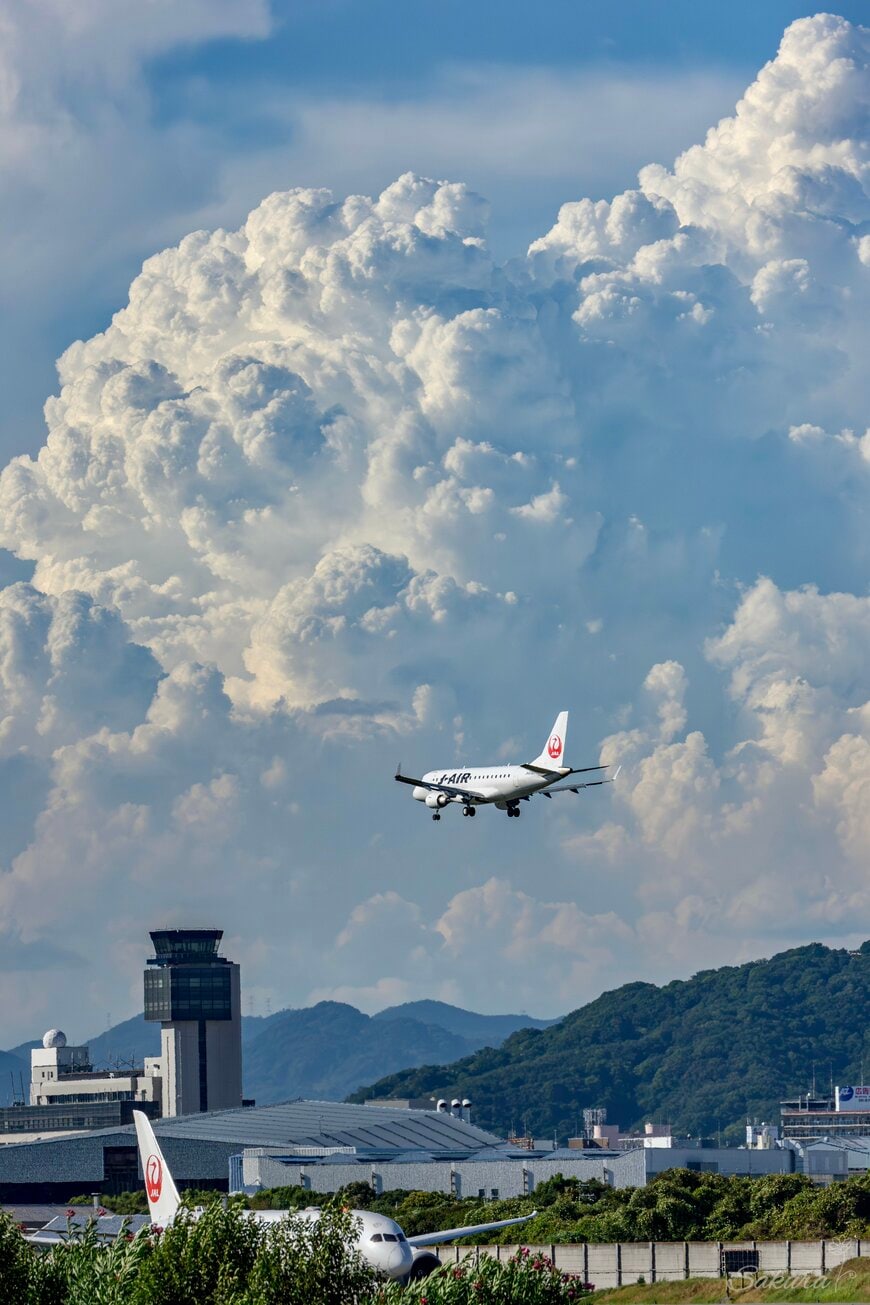 出所：@sakuraing64