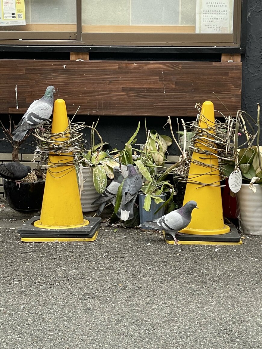 芸術的建築物のような三角コーン