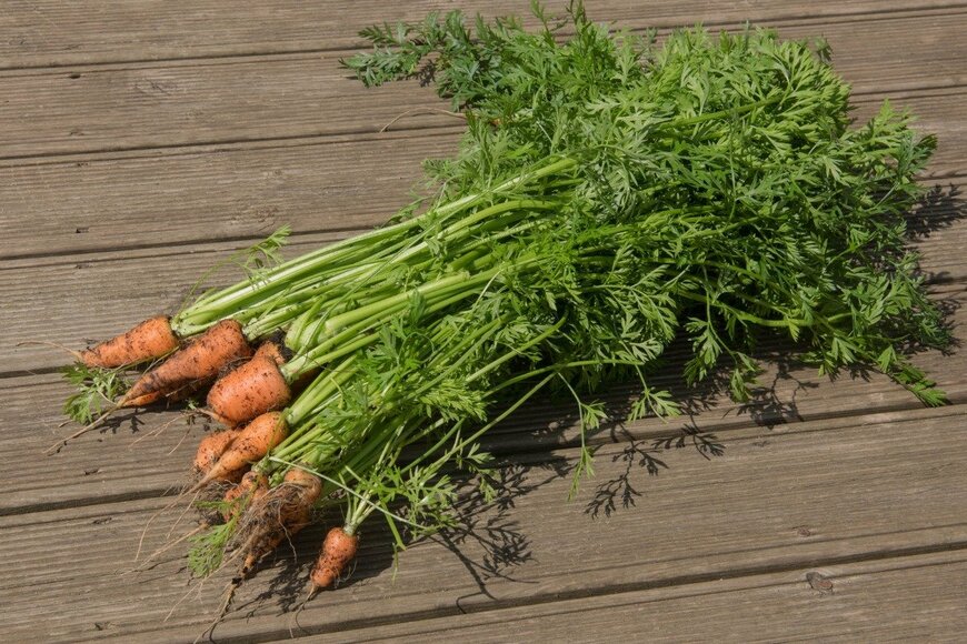 pcturner71/istockphoto.com