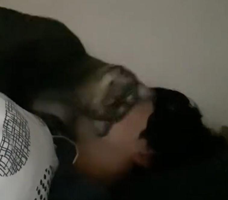 出所：@00shitemita