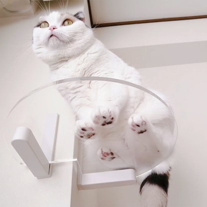 出所：ニトリ公式通販ニトリネット コーナーステップ（クリア CATROAD+）