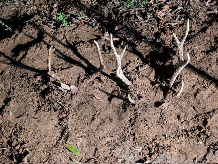 出所：@TakahiroNezu