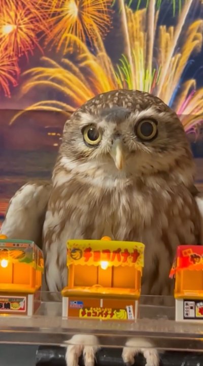 出所：@cr8673.hiro