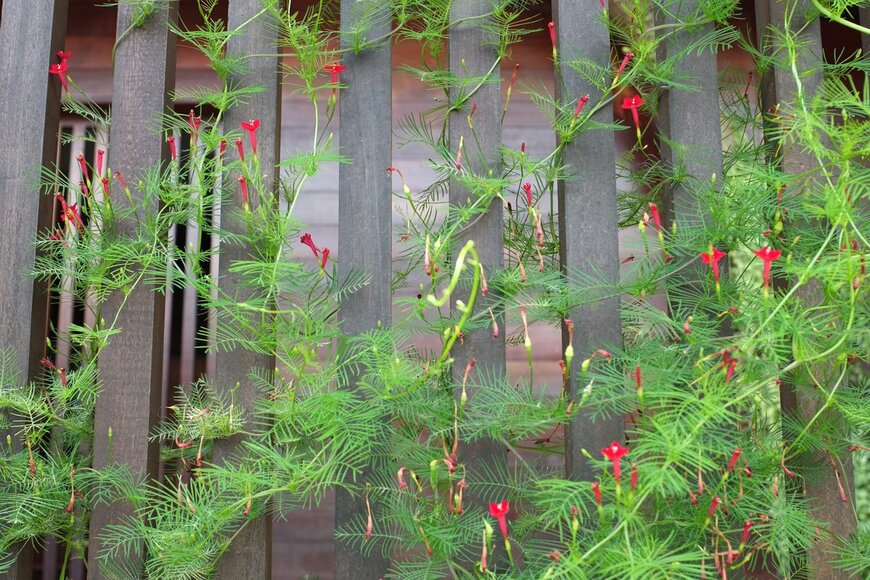 Hepjam/shutterstock.com