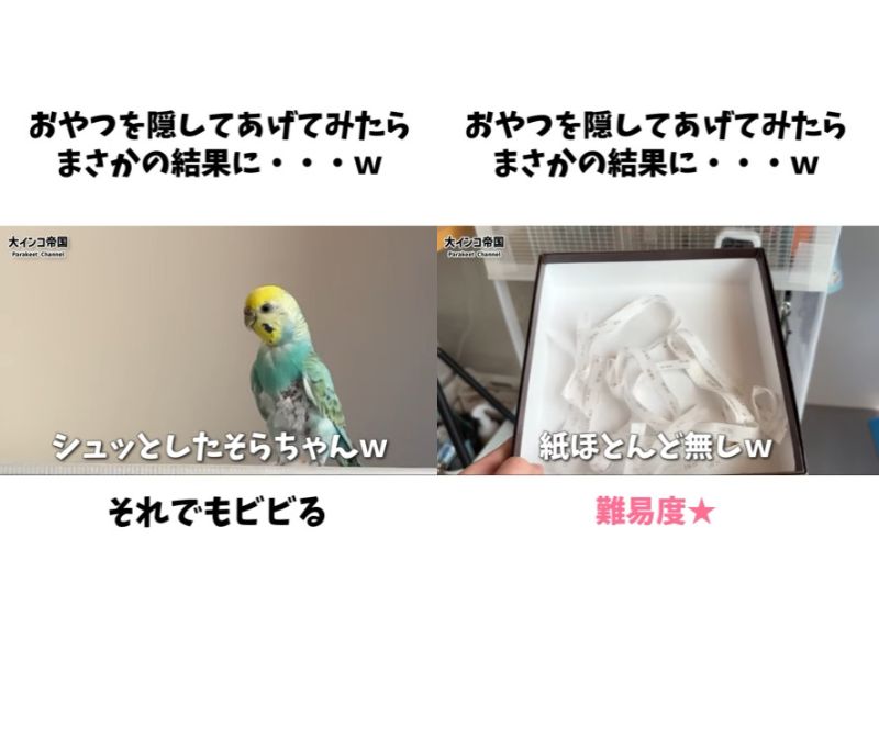 出所：＠daiinkoteikoku_soraoto