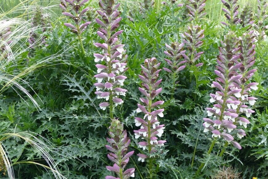 guentermanaus/shutterstock.com