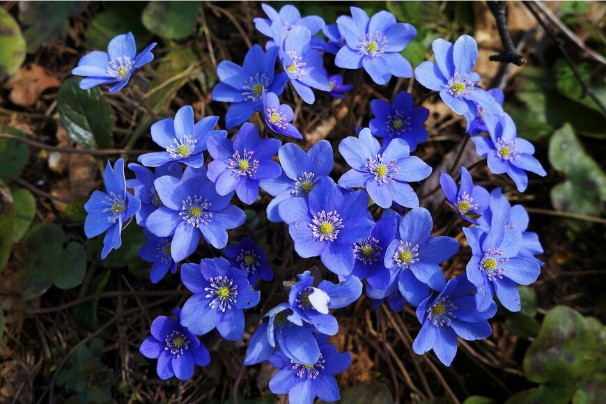 Natalia Baran/Shutterstock.com