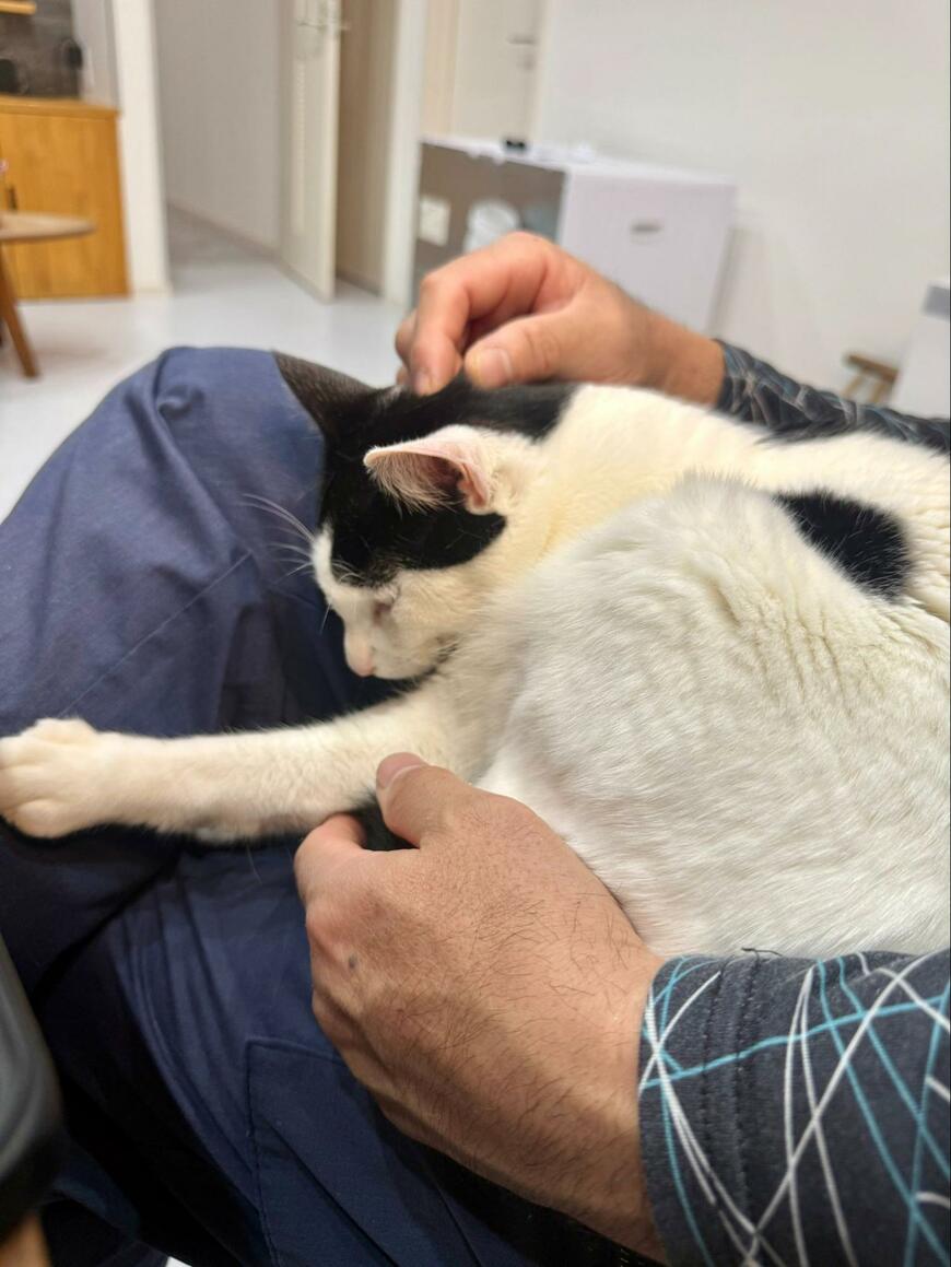 夫「もう仕事行かん」出勤前の猫の行動に共感の声が続出