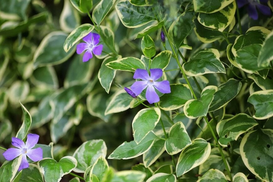 Kabar/shutterstock.com