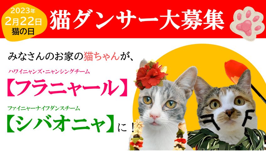 画像出所：スパリゾートハワイアンズ