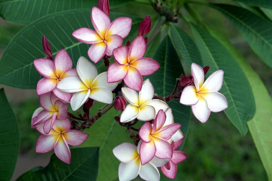 andy0man/istockphoto.com