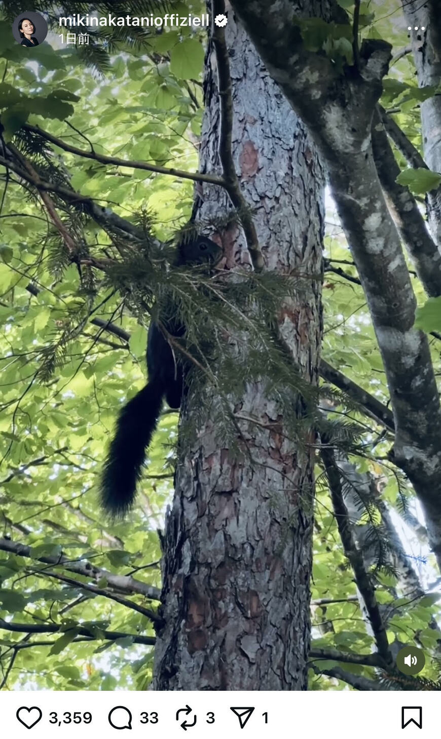 出所：中谷美紀のInstagram　参照日：2025年9月2日