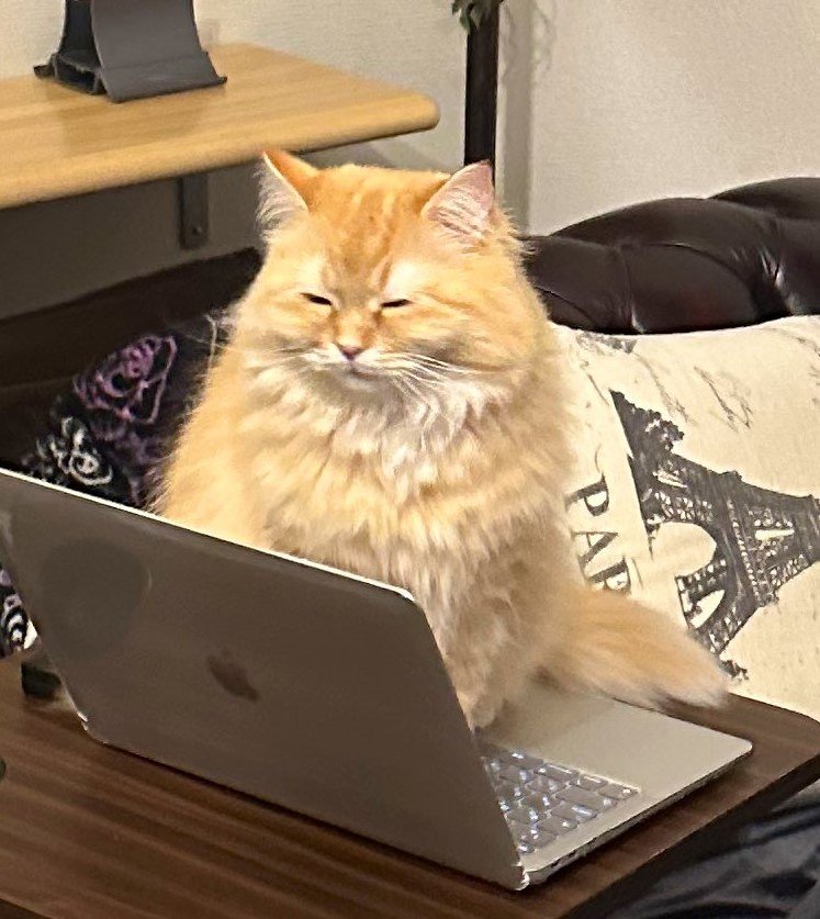 出所：@NEKOLAND13