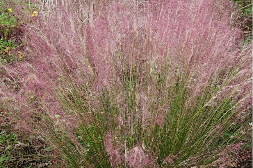 passion4nature/istockphoto.com