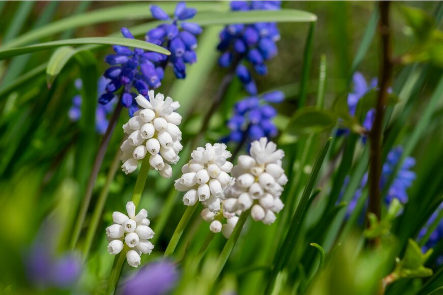 Iva Vagnerova/shutterstock.com