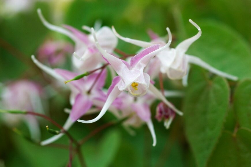 gyro/istockphoto.com