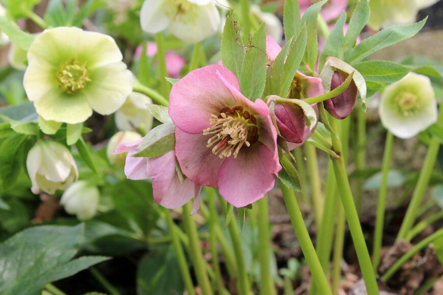 Wirestock/istockphoto.com