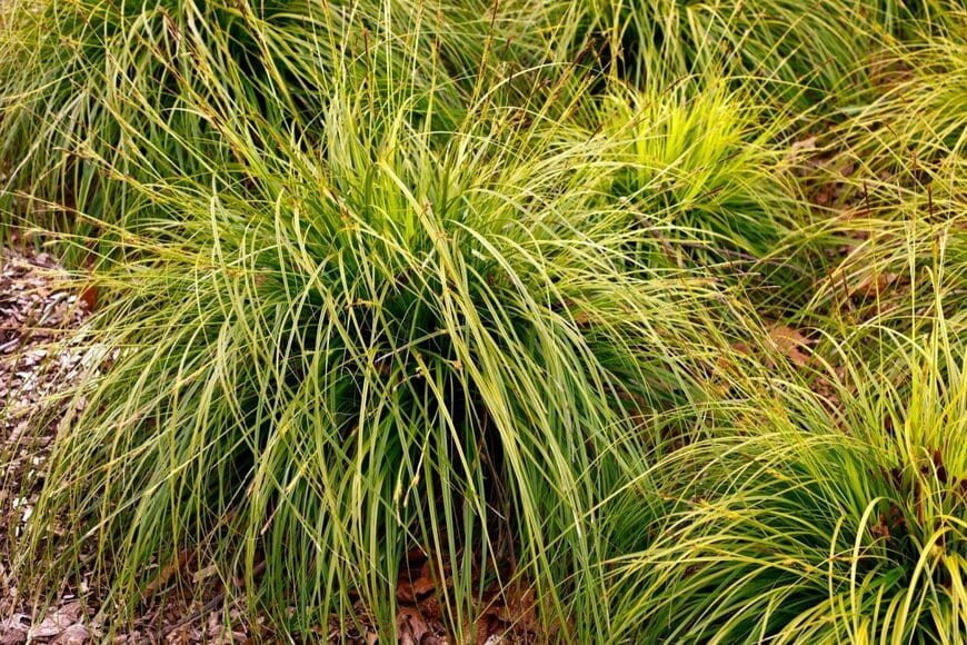 Joe Kuis/shutterstock.com