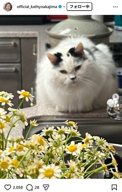 出所：キャシー中島のInstagram（＠official_kathynakajima） 参照日：2025年12月9日
