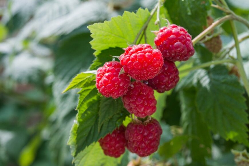 otokostic/istockphoto.com