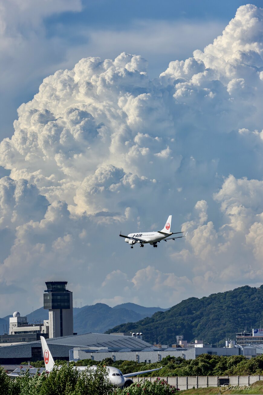 思わず目を奪われる迫力のある一枚