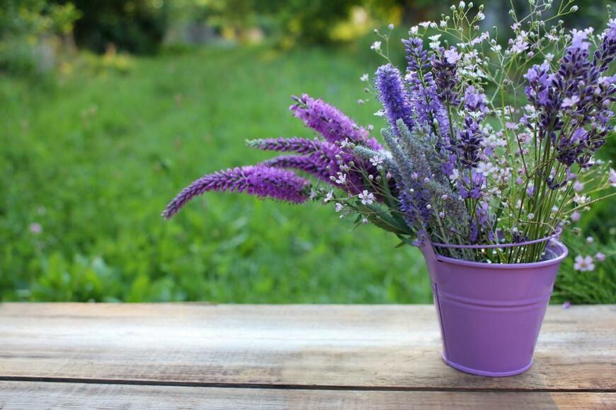 紫の花を鉢植えして置いてある様子。奥は庭