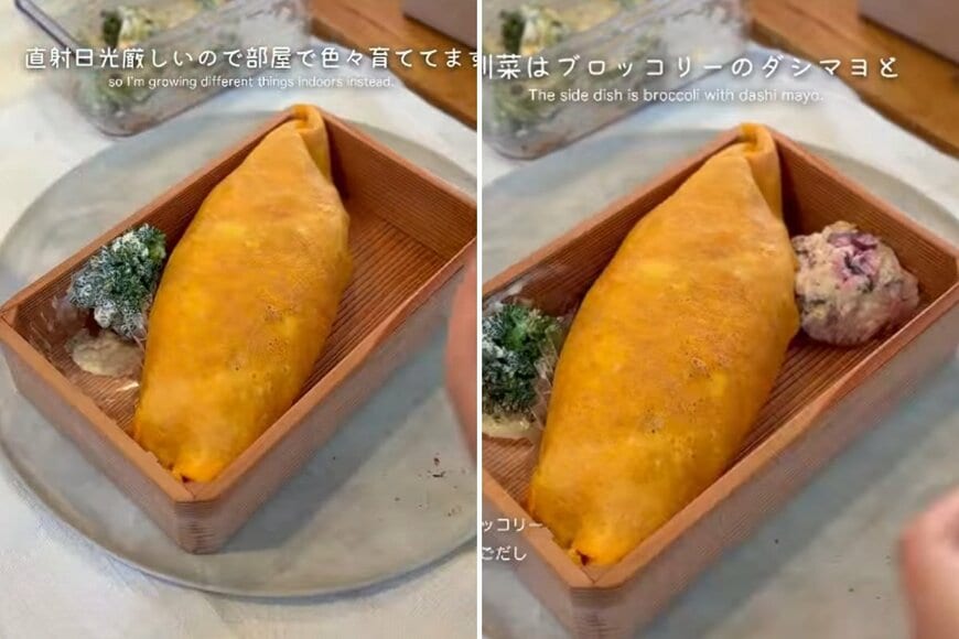 投稿の画像