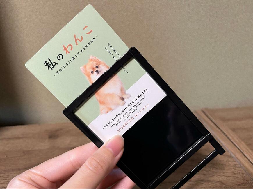 キャンドゥ、ミニチュアポスタースタンド画像